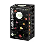 Ovocno-bylinný MIX čajů 30x2g Fytopharma