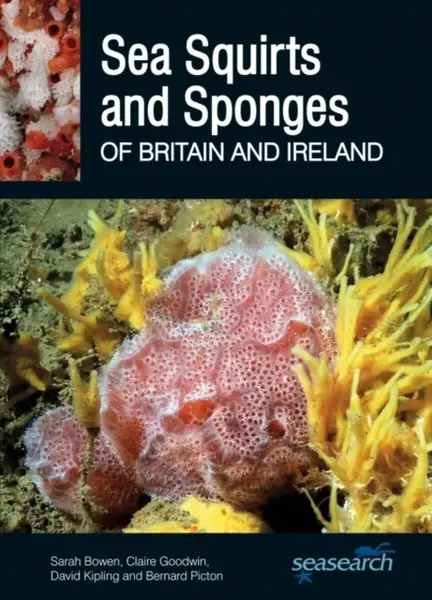 Sea Squirts and Sponges of Britain and Ireland - Bernard Picton, Sarah Bowen, David Kipling, Claire Goodwin