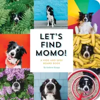 Let's Find Momo! - Andrew Knapp