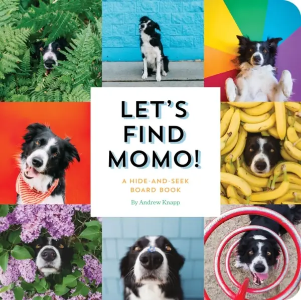Let's Find Momo! - Andrew Knapp