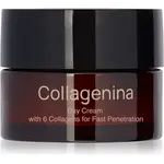 Collagenina Grade 2 Day Cream zpevňující denní krém s kolagenem 50 ml