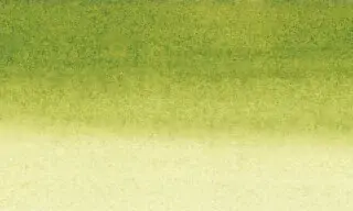 Šelaková tuš Sennelier 30ml – 813 Olive Green