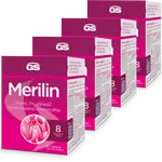 GS Merilin, 4 × 60 tablet