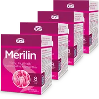 GS Merilin, 4 × 60 tablet