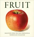 Fruit