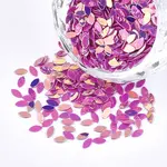 Shining Nail Art Glitter