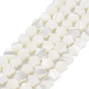 Natural Trochid Shell/Trochus Shell Beads Strands