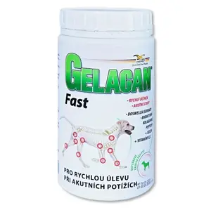 GELACAN Fast 500 g