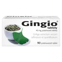 GINGIO 40 mg 90 potahovaných tablet