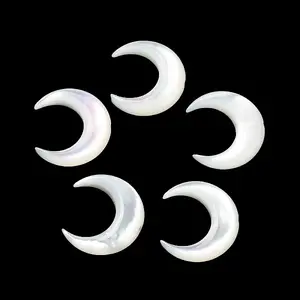 Natural White Shell Beads