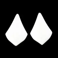 Natural Freshwater Shell Cabochons