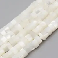 Natural Trochid Shell/Trochus Shell Beads Strands