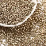 Electroplate Glass Seed Beads