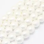 Shell Pearl Beads Strands