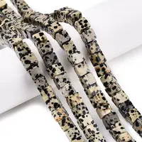 Natural Dalmatian Jasper Beads Strands