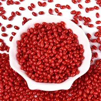 Baking Paint Glass Seed Beads