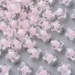 Transparent Acrylic Beads