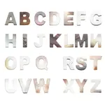 26Pcs 26 Style Natural Black Lip Shell Beads