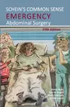 Schein's Common Sense Emergency Abdominal Surgery - Schein Moshe