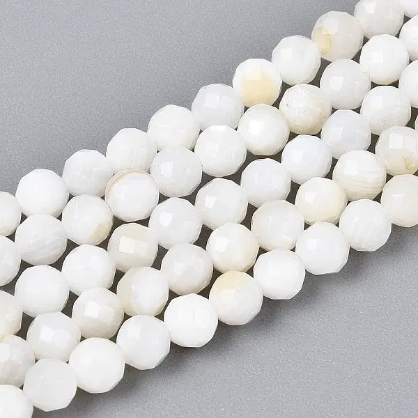 Natural Freshwater Shell Beads Strands