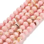 Assembled Synthetic Stone and Trochus Shell Beads Strands