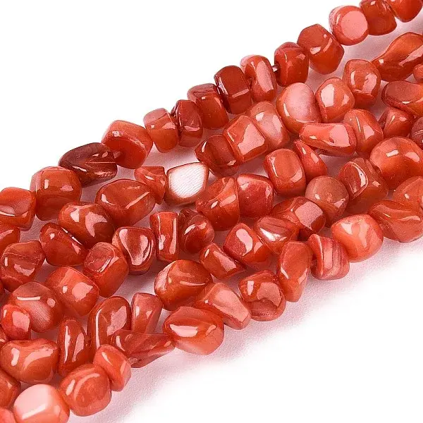 Natural Freshwater Shell Beads Strands