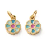 Ion Plating(IP) 304 Stainless Steel Enamel Charms