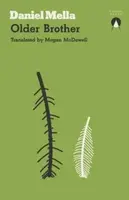 Older Brother - Daniel Mella