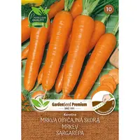 Karotina mrkva skorá - výsevný pásik