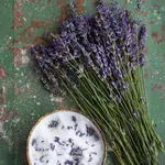 Bio Levanduľa úzkolistá