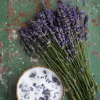 Bio Levanduľa úzkolistá