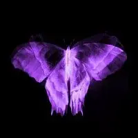 Sin4Hood, Talha Eren, Kiézsaxd Always Winner – yoluna taş koydum