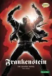 Frankenstein The Graphic Novel - Mary W. Shelley