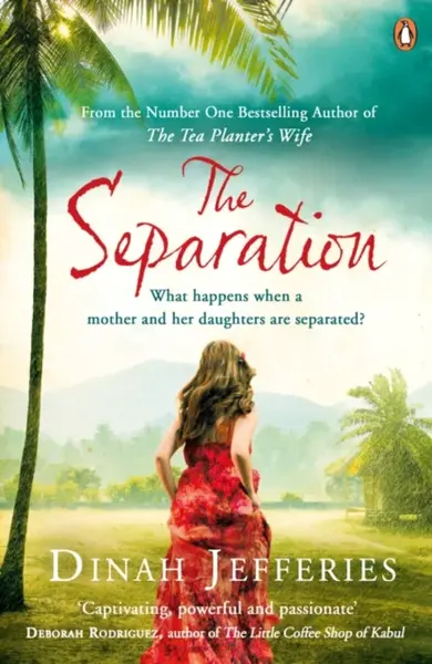 The Separation - Dinah Jefferies