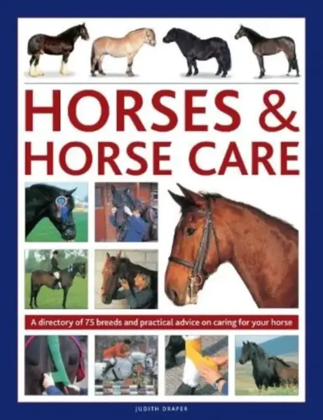 Horses & Horse Care - Judith Draper