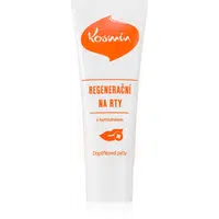Aromatica Tradice z přírody Kosmín regenerační na rty regenerační mast na rty 25 ml