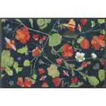 Esposa DVEŘNÍ ROHOŽKA, 50/75 cm, vícebarevná