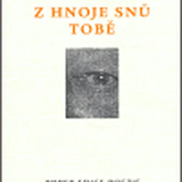 Z hnoje snů tobě - Václav Daněk