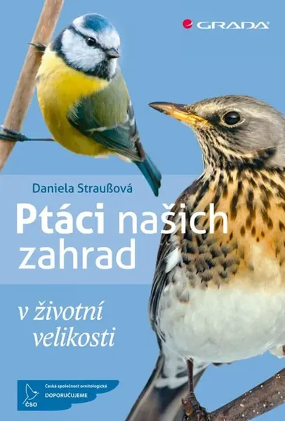 Ptáci našich zahrad - Daniela Strauß