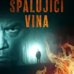 Spalující vina - komplet - Inger Gammelgaard Madsen - e-kniha