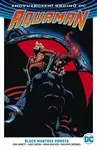 Aquaman 2: Black Mantova pomsta - Dan Abnett, Scot Eaton