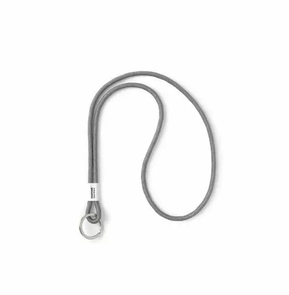 PANTONE Poutko na klíče L - Cool Gray 9