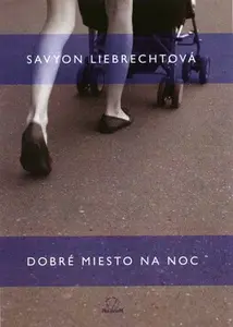 Dobré miesto na noc - Savyon Liebrechtová