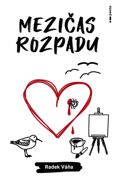 Mezičas rozpadu - Radek Váňa