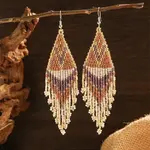Fashionable Tassel Dangle Earrings