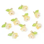 10Pcs Acrylic & Glass Flower Pendants