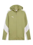 PUMA Športová mikina so zipsom 'teamEVOSTRIPE'  kiwi / biela
