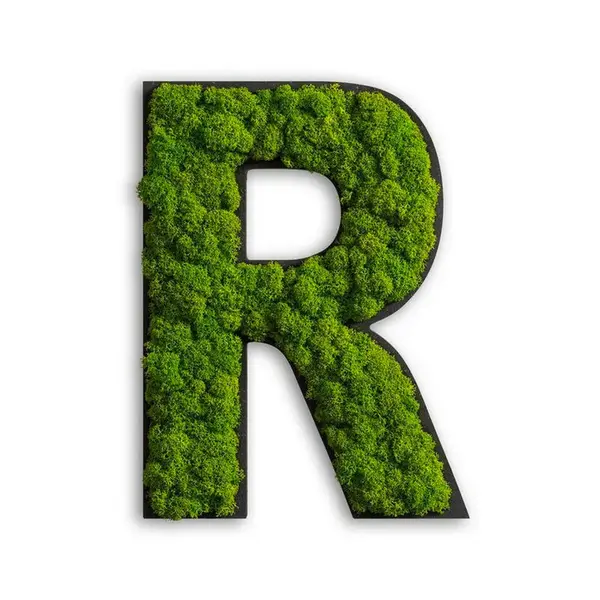 StyleGREEN MECHOVÝ OBRAZ