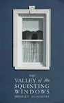 The Valley of the Squinting Windows - Brinsley McNamara