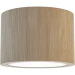 STROPNÍ BODOVÉ SVÍTIDLO, 12/8 cm